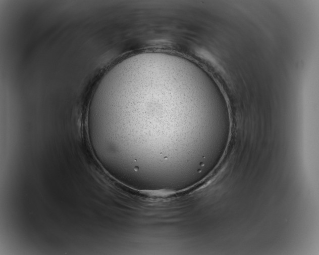 X0000088091403200705251419