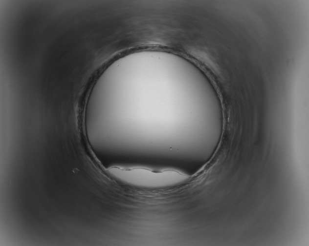 X0000088091404200705251419