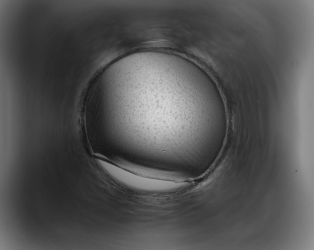 X0000088091405200705251419