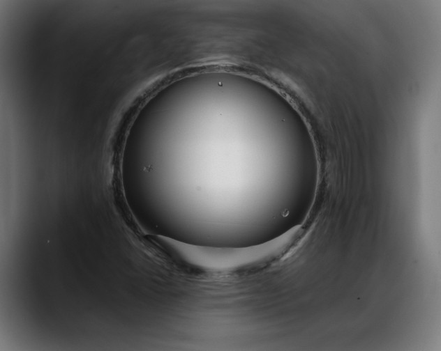 X0000088091406200705251419