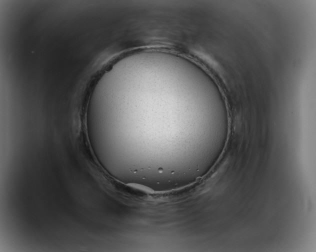 X0000088091407200705251419