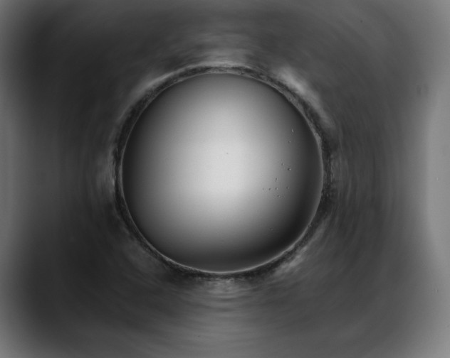 X0000088091408200705251419