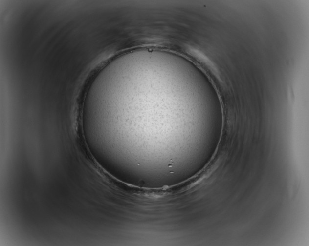 X0000088091411200705251419