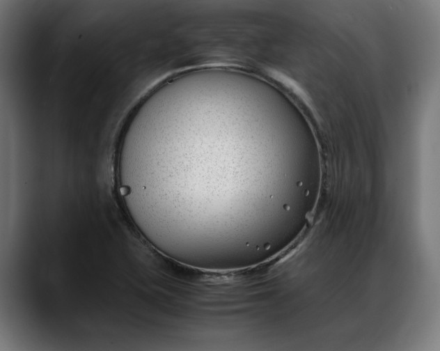 X0000088091415200705251419