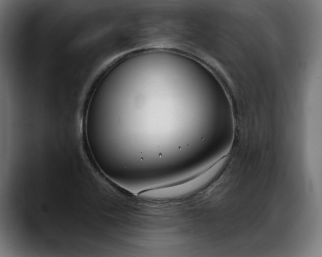 X0000088091416200705251419