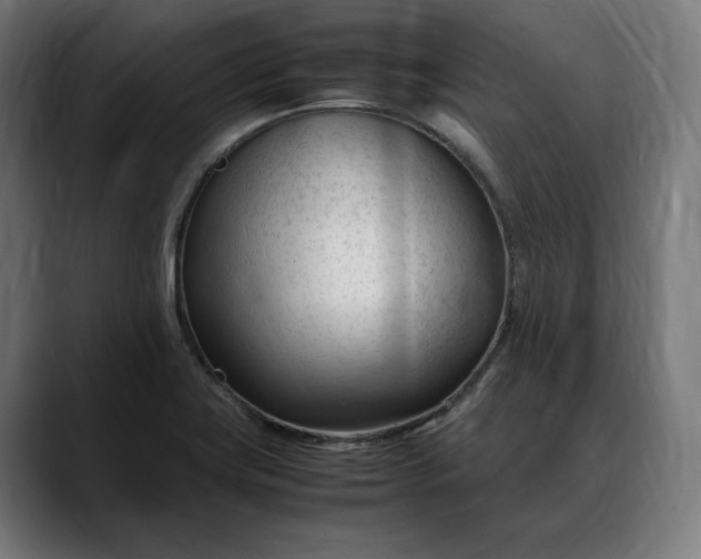 X0000088091419200705251419