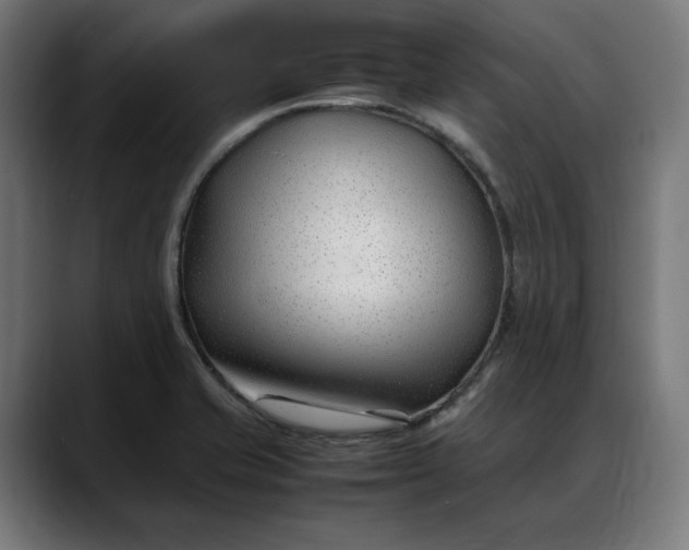 X0000088091421200705251419