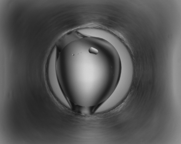 X0000088091422200705251419