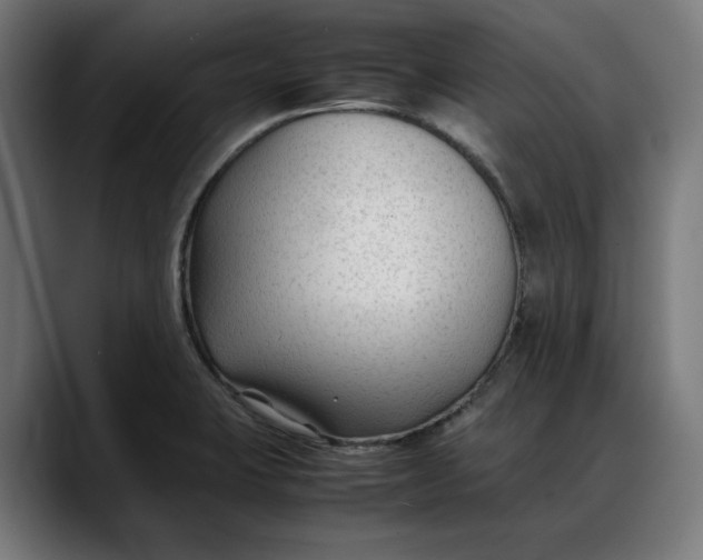 X0000088091423200705251419