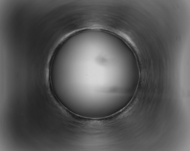 X0000088091424200705251419