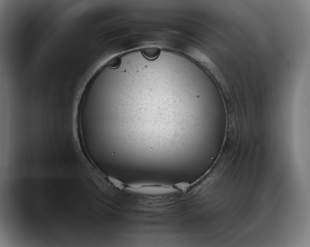 X0000088091427200705251419