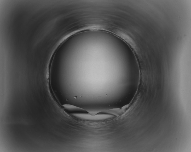 X0000088091428200705251419