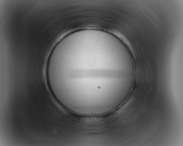 X0000088091429200705251419