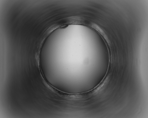 X0000088091433200705251419