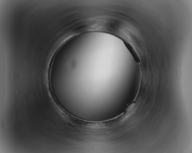 X0000088091434200705251419