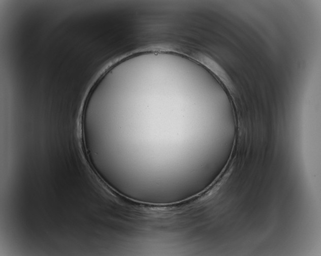 X0000088091436200705251419