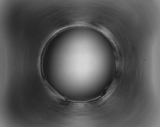 X0000088091438200705251419