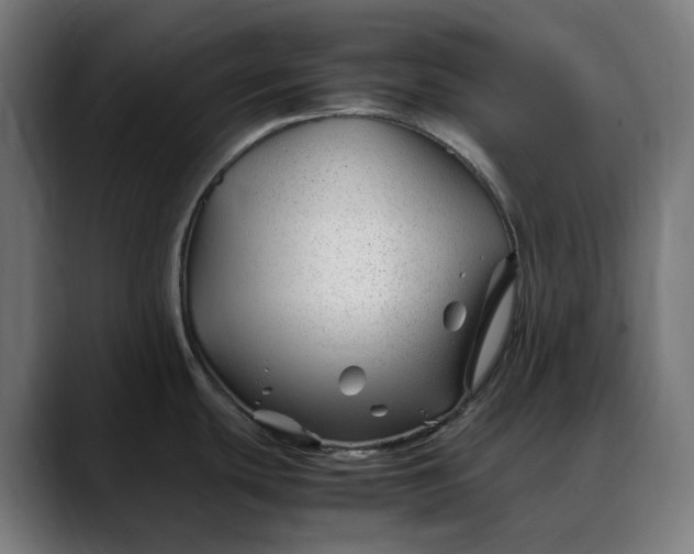 X0000088091439200705251419