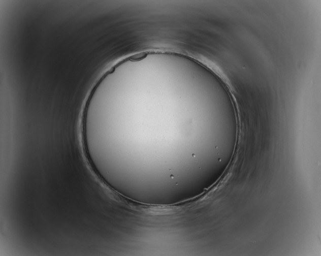 X0000088091440200705251419