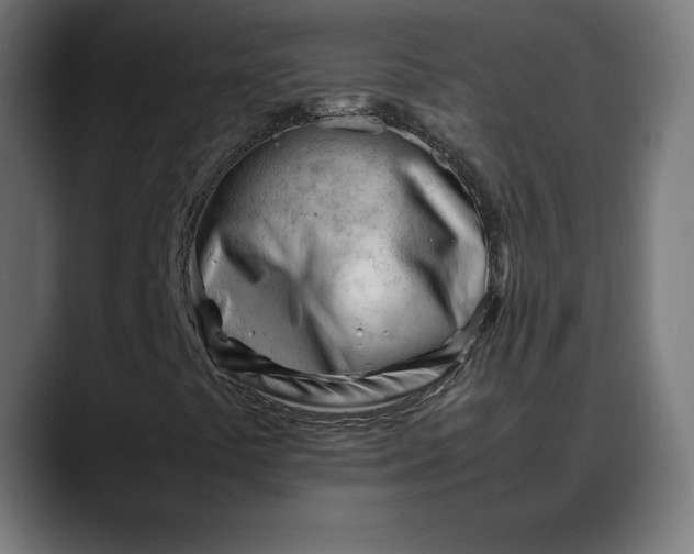 X0000088091441200705251419