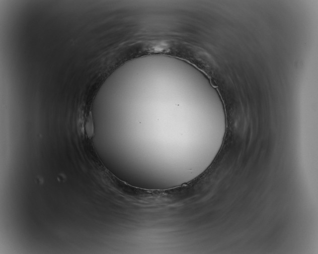 X0000088091442200705251419