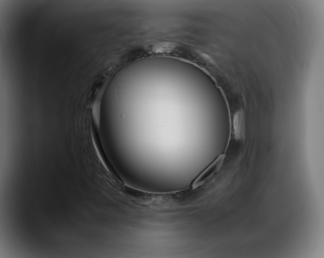 X0000088091443200705251419