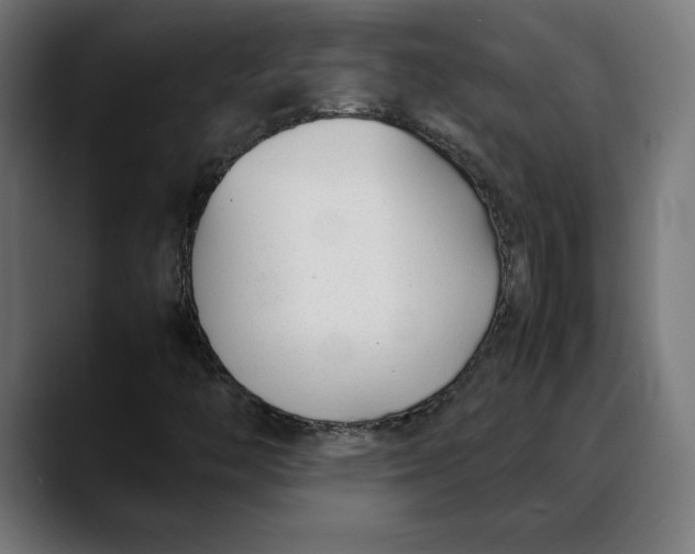 X0000088091446200705251419