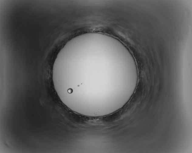 X0000088091447200705251419