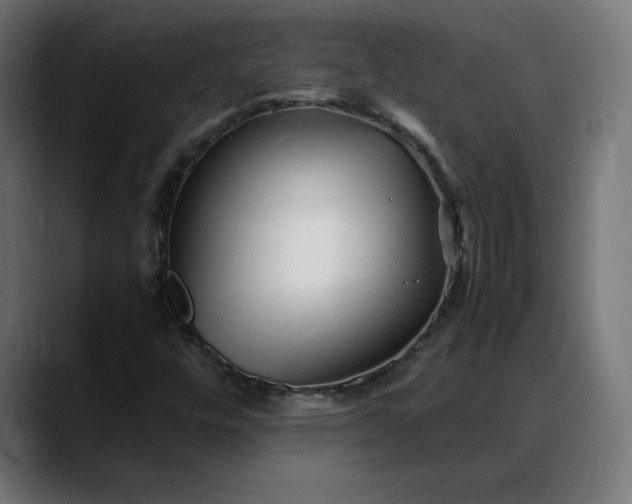 X0000088091448200705251419