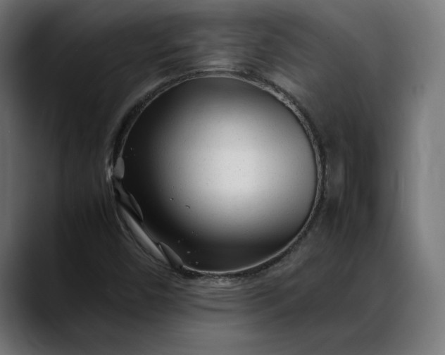 X0000088091450200705251419