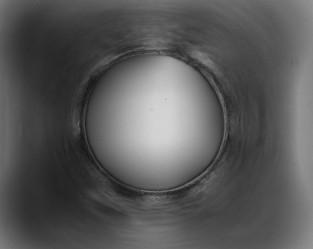 X0000088091451200705251419