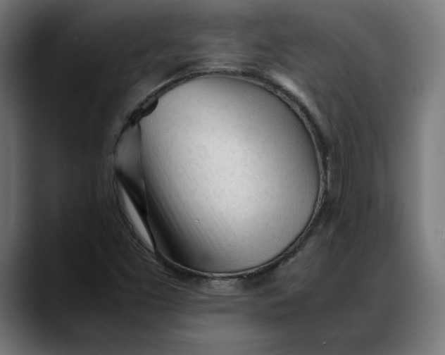 X0000088091453200705251419