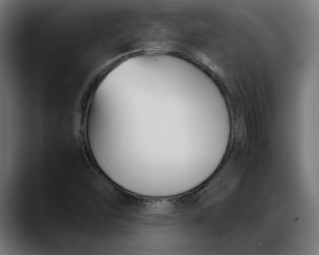 X0000088091454200705251419