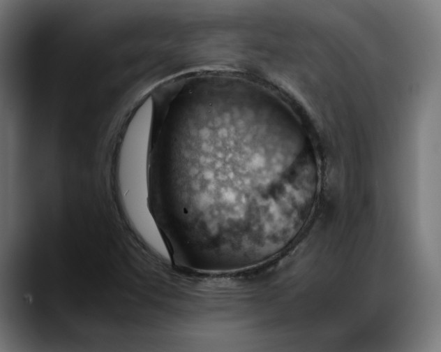 X0000088091455200705251419