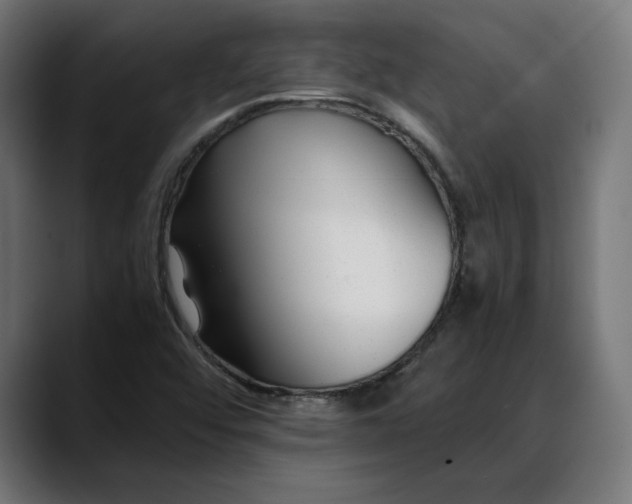 X0000088091456200705251419