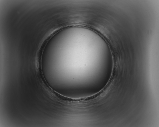 X0000088091458200705251419