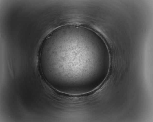 X0000088091459200705251419