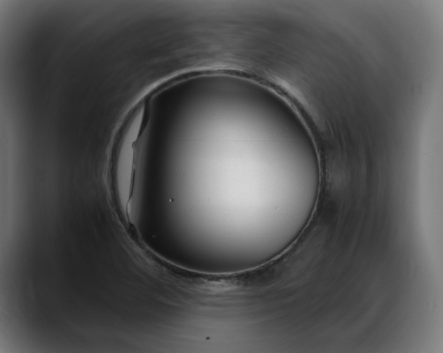 X0000088091460200705251419