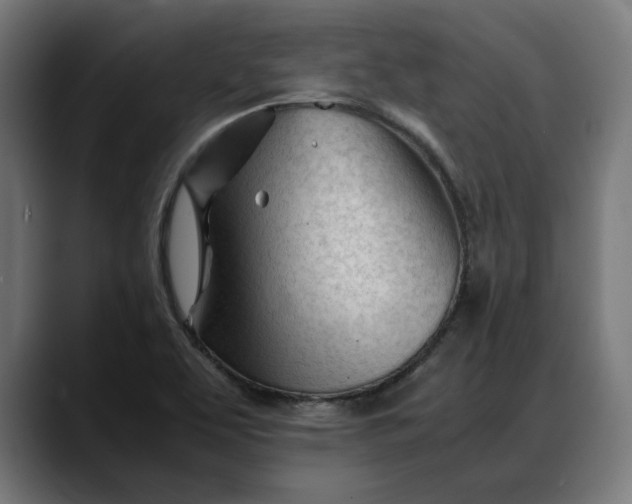 X0000088091463200705251418