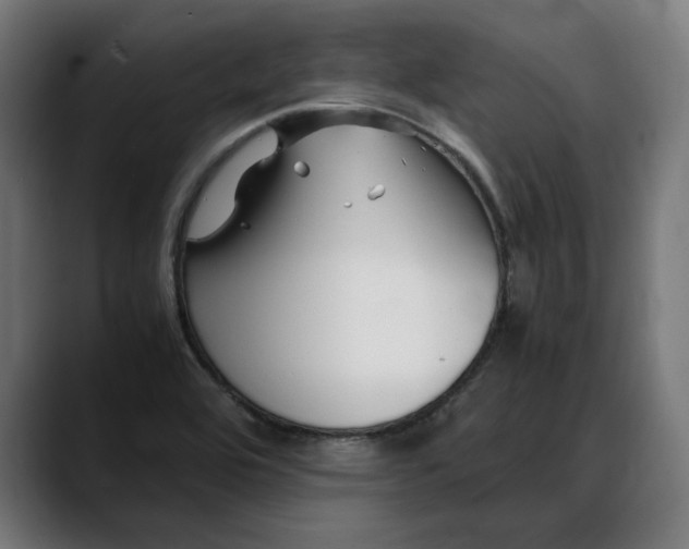X0000088091464200705251418