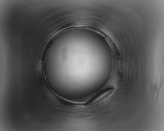 X0000088091465200705251418