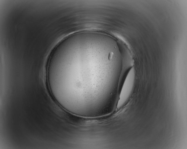 X0000088091467200705251418