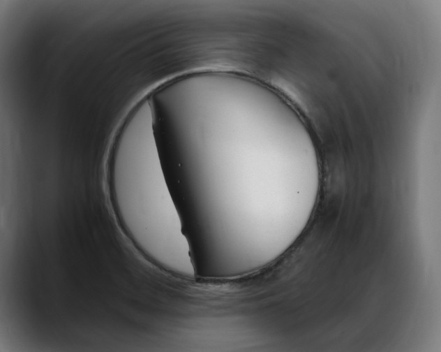 X0000088091468200705251418