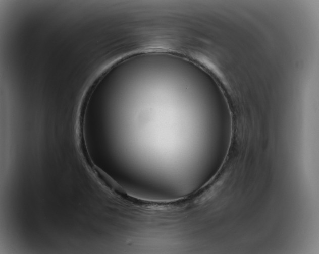 X0000088091469200705251418