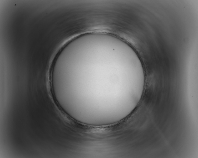 X0000088091470200705251418