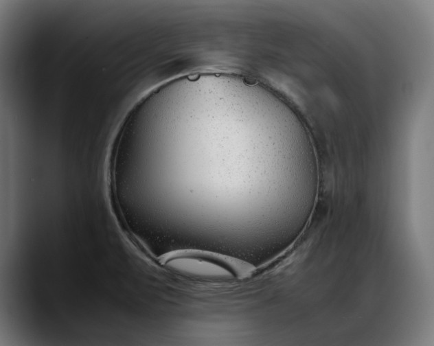 X0000088091471200705251418