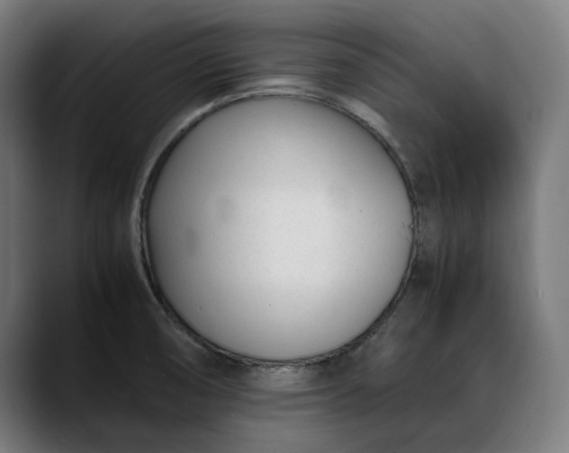 X0000088091474200705251418