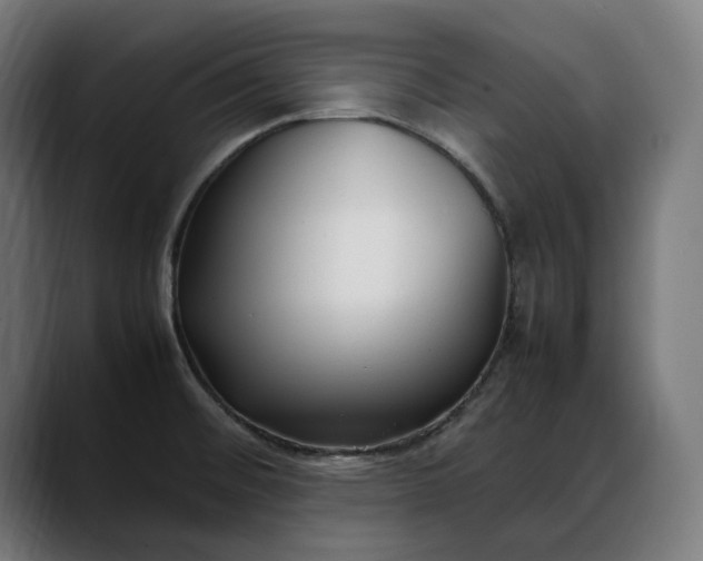 X0000088091476200705251418