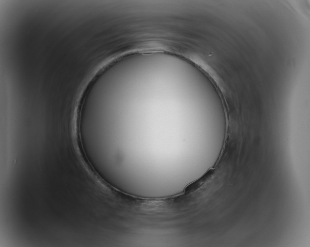 X0000088091477200705251418