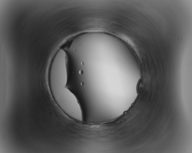 X0000088091480200705251418